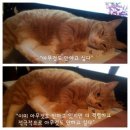 흠