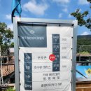 내돈내산 파주 가볼만한곳 마장호수 카페 베르테라 알파카