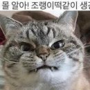 다줄께PC 이미지