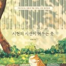 시선이머무는곳
