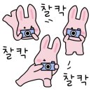 제니영어국제수학