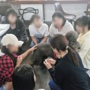 보정동물병원 이미지