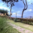 태양스테이 이미지