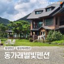 동가래별빛 - 5631 | 동가래별빛