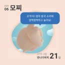 신호1길 33-1, (교현동) | :: 임신일기 #13 - week 37-38