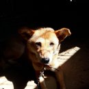 맡겨주개 | 미미네 토요봉사 후기(2019년 8월 31일)