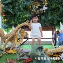 (주)에듀펫 | 비 오는 날 인천근교 35개월 아기랑 시흥에서 즐기는 무료 실내동물원 밀레에듀파크 :) 작은 동물 온도