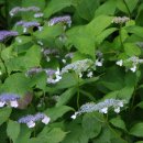 서북동마을 이미지