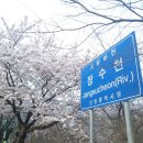 장수천수산