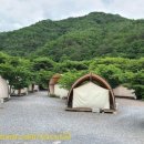 별이 빛나는 밤에 펜션 캠핑 이미지