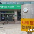 오거리약국 횡단보도 앞 이미지