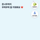 케이뱅크 돈나무 키우기 서비스 10회 찐 후기