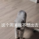 운정 멍발소 이미지