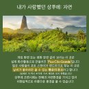 큰사랑마트 이미지