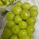 하늘사랑농원 이미지