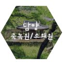 [ 내일로 ] 10 담양여행 / 담양 죽녹원 / 소쇄원 / 광주에서 담양(죽녹원) 가는 법 / 담양 맛집 &#39;들풀&#39;