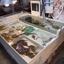 경아회수산 | [포항/내돈내산] 포항 영일대신상숙소추천 영일대감성숙소 "부엉이하우스"