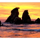 이인자 농장 이미지