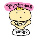수리강사박수웅