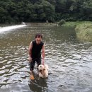 보은대추수향농원