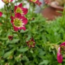 날마다좋은날 이미지