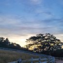 행은목장 이미지