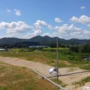 장성사랑공인중개사사무소 이미지