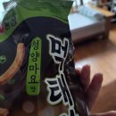 여름맞이 7¡ |쳤어!!