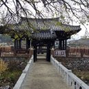 영남대로 Daum카페