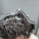 검은콩 에너지 앤써웨이 블랙빈35 탈모완화 샴푸