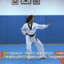 태극태권도 이미지