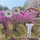 가좌1-04-013 | 4월 부천 가볼만한곳 원미산 진달래동산