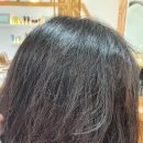 커낼로288번길 이미지