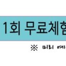 도도핏