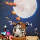 펫 프렌들리 호텔 이미지