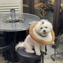 명운 참 숯불구이 이미지