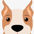 강아지에 빠지다 이미지