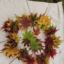 한숲산내음공원 이미지