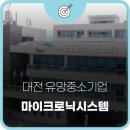 마이크로닉 이미지