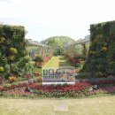 한밭수목원1 이미지