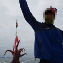 장호낚시