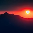 디자인태그 이미지