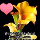 { 6월18일 화요일 으뜸쥐방 } 이미지