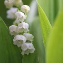 성당초교 이미지