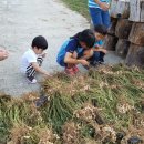 용문산야생화마을 이미지