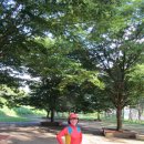 서산대사 옛길 이미지