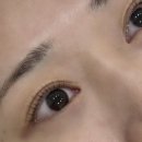 리니브로우 | 동탄 남광장 리니브로우 바짝 올라간 속눈썹펌 후기