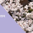 쩡이미디어
