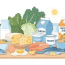 골다공증 예방을 위한 칼슘과 비타민D 황금 비율 섭취법 이미지