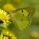 유행가 노래연습장 이미지